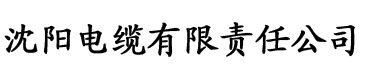 亚洲三区第一麻豆电缆厂logo